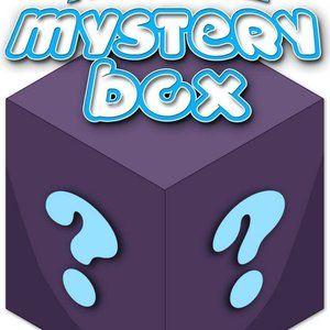 Mystery Box  .. 5 men's Lg size items for $15.00 (jackets, shirts,) mbc-5